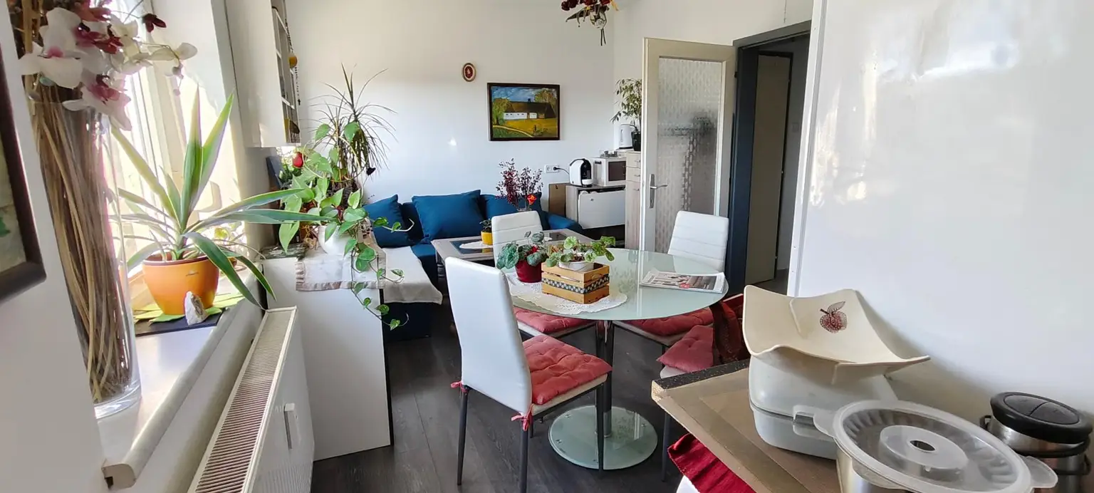 Charmante 2 Zimmerwohnung mit Wohlfühlfaktor in der Retznei