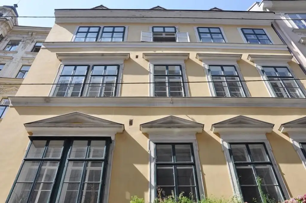 Altbauwohnung nähe Stephansplatz