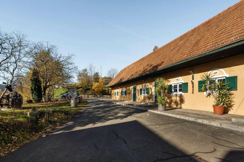 Buschenschank/Heuriger Eory zum Traubenkogel zu verkaufen!