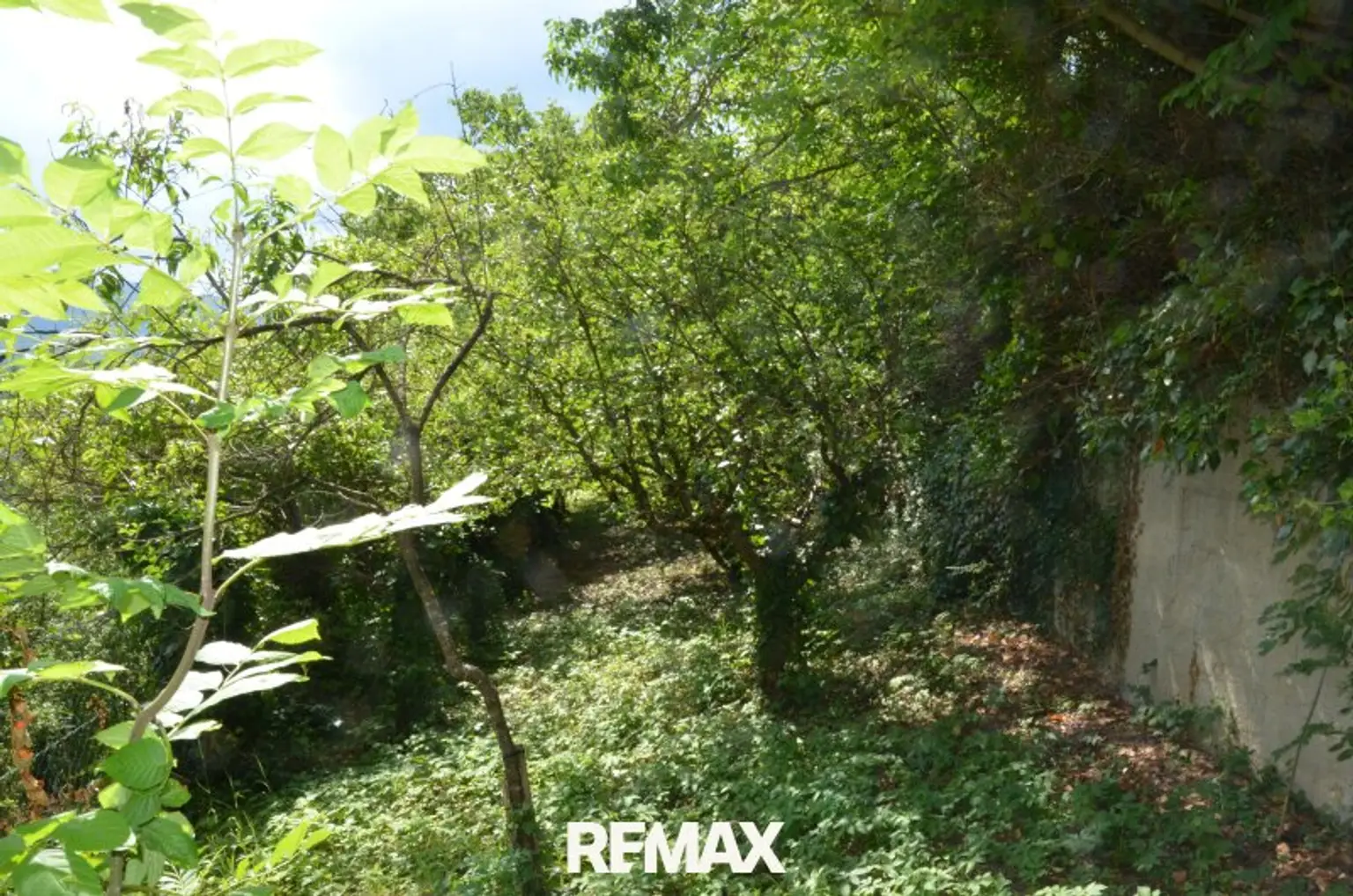 Garten Rückseite 1
