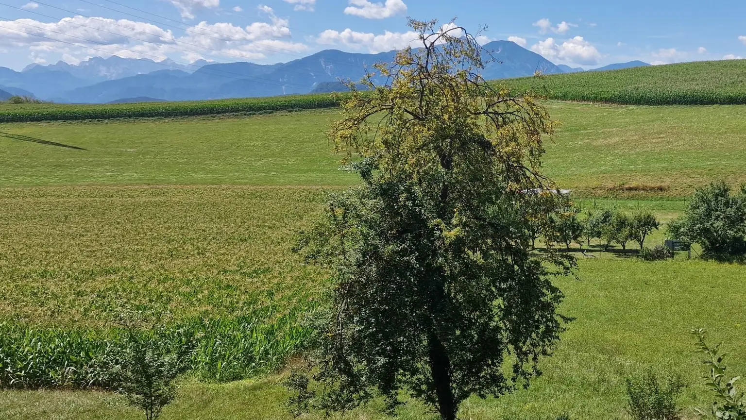 Ausblick Grundstück