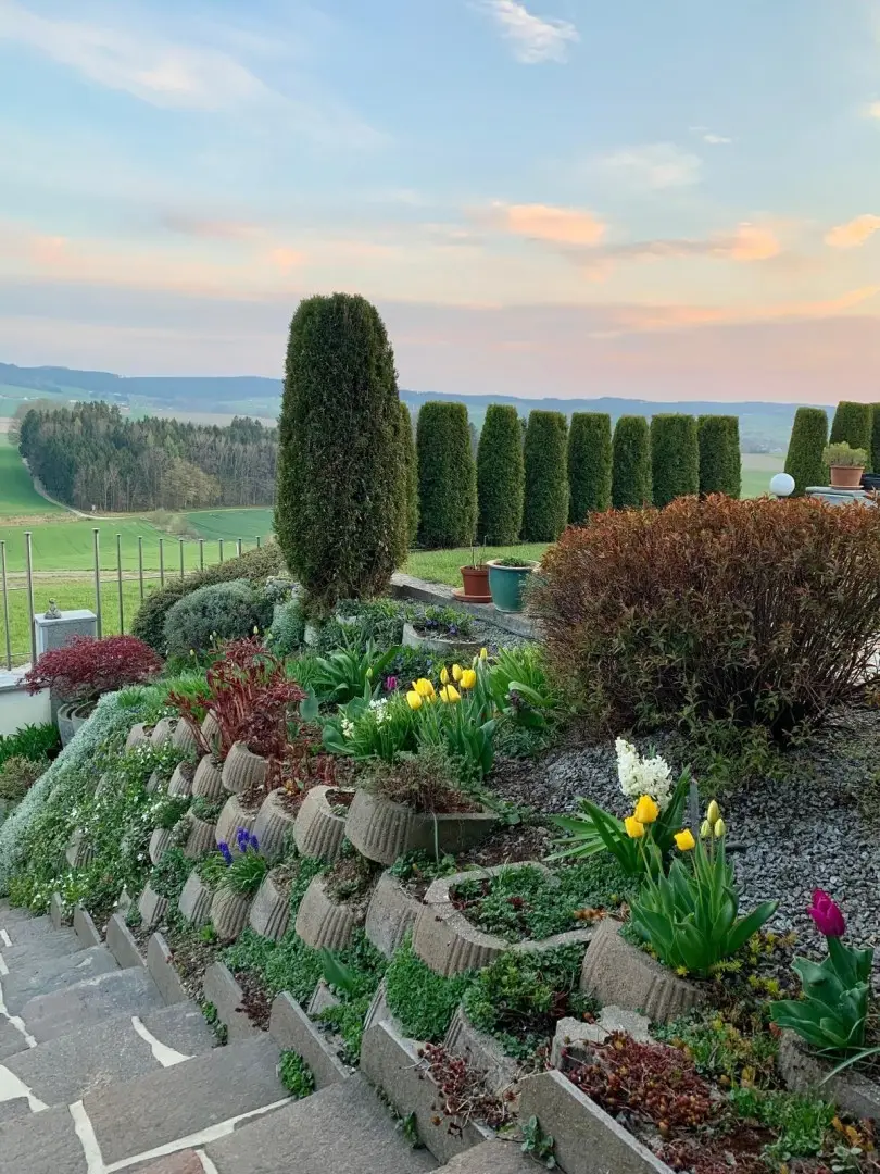 Gartenanlage (2)
