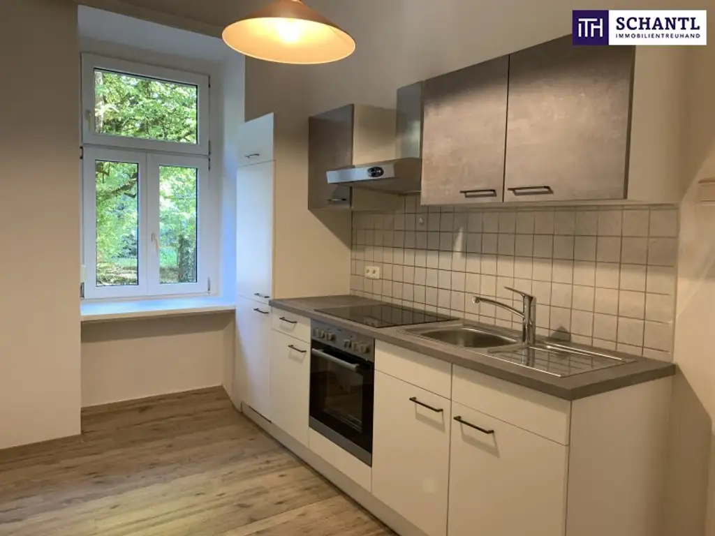 SPITZE! Top-Investment in Graz – Wohnungspaket mit über 5 % Rendite! LICHTDURCHFLUTETE STADTWOHNUNGEN mit Altbauflair!
