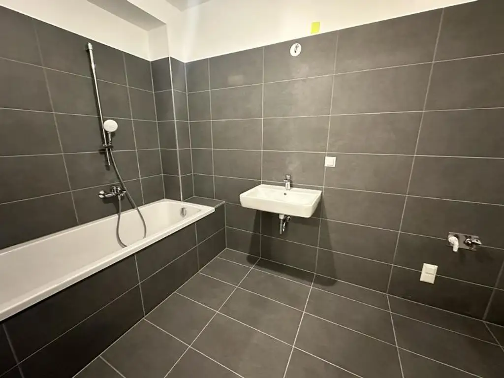 einen Katzensprung von Wien entfernt MIETE