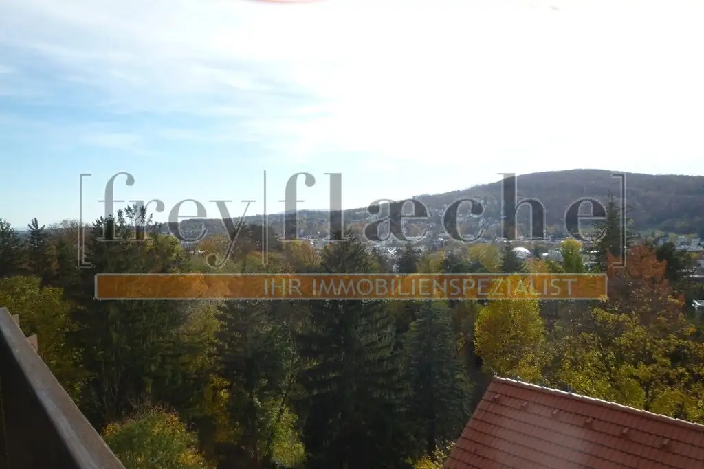 Rosental und Dachterrasse