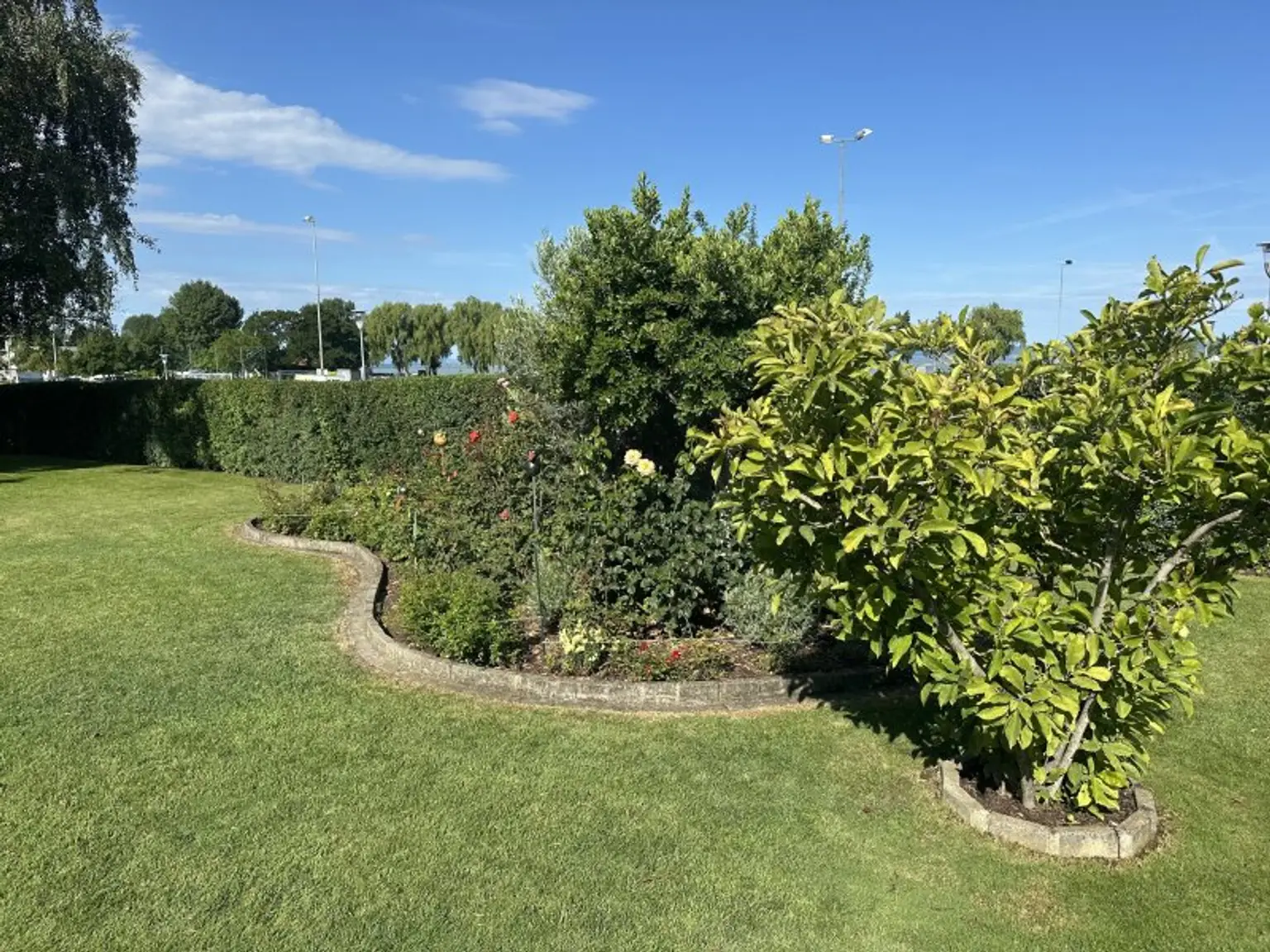 Träume werden wahr- Ihr Haus am Neusiedlersee, 1.Reihe- Seeblick- Bergblick- Aussicht PUR