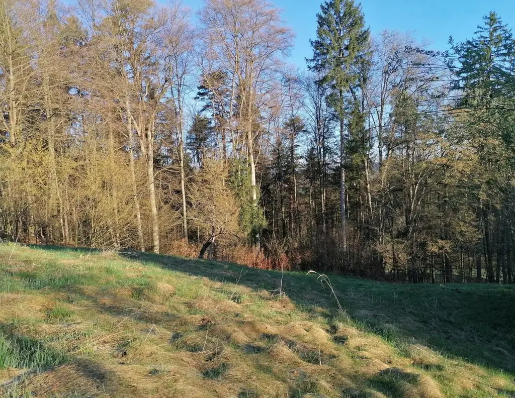 Liegenschaft mit Hofstelle - St. Nikolai im Sausal