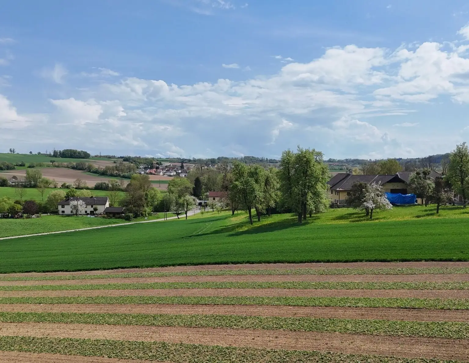 987 m² Bauland mit Widmung Dorfgebiet in Engerwitzdorf/Edtsdorf ohne Bauzwang