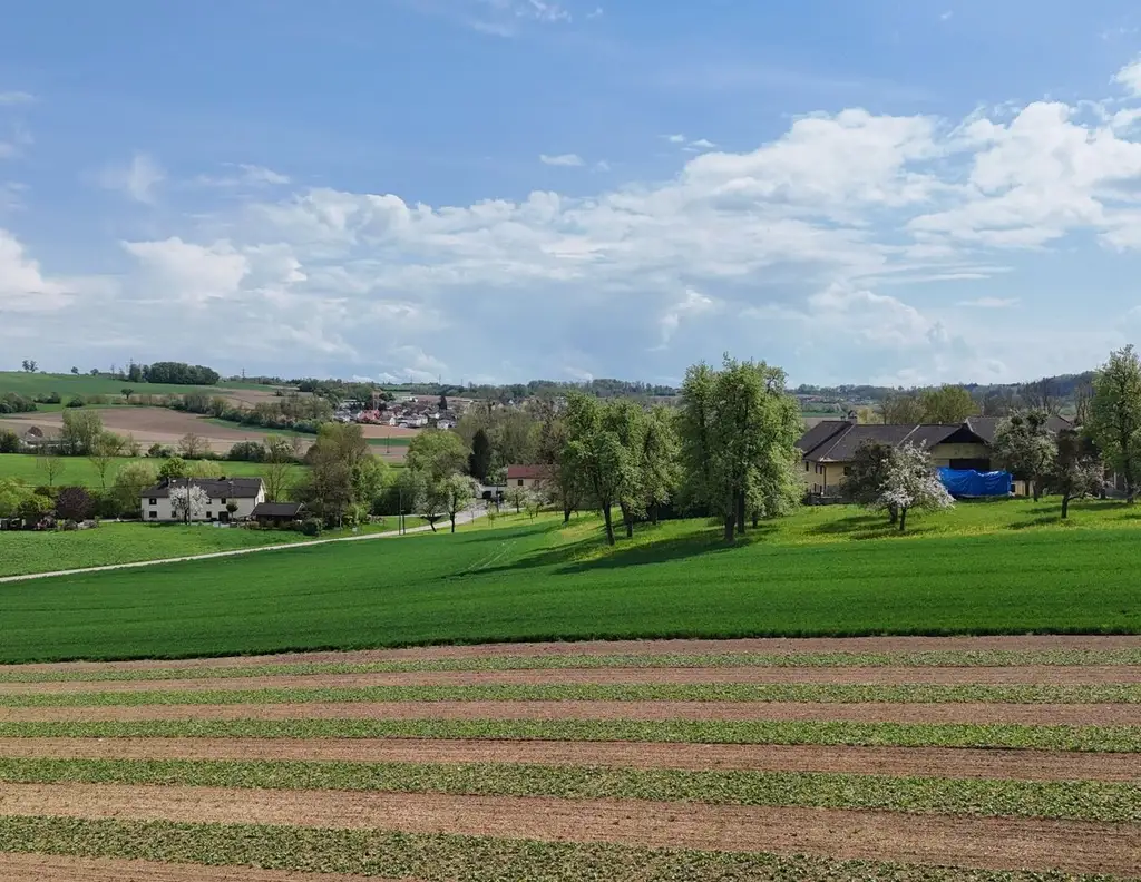 987 m² Bauland mit Widmung Dorfgebiet in Engerwitzdorf/Edtsdorf ohne Bauzwang