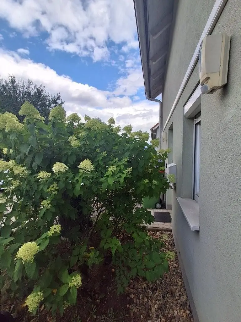 "Glückstreffer - Reihenhaus mit Garten in Deutsch Wagram"