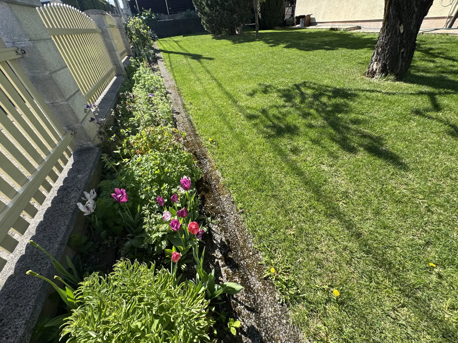 Bewässerungsanlage im Garten