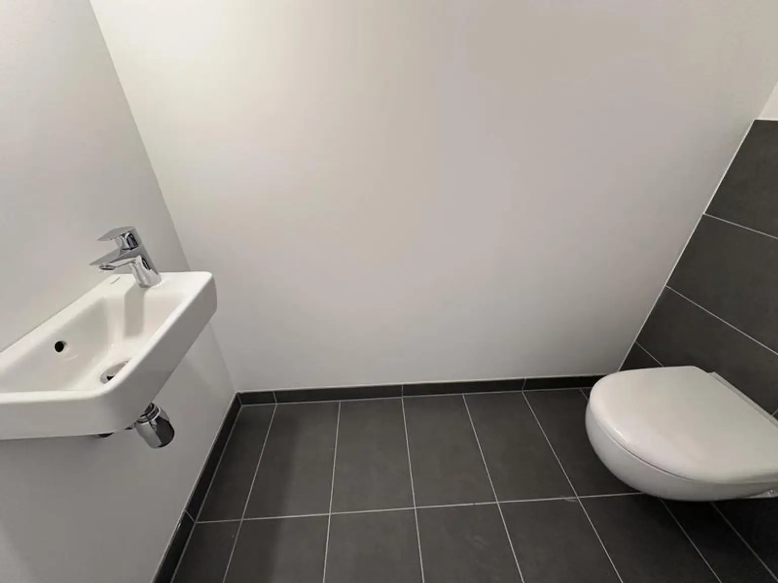 einen Katzensprung von Wien entfernt MIETE