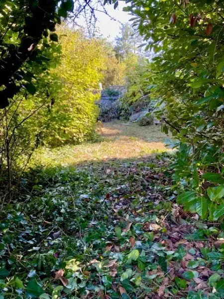 Ihr Sonnengrundstück im begehrten Sachsenviertel