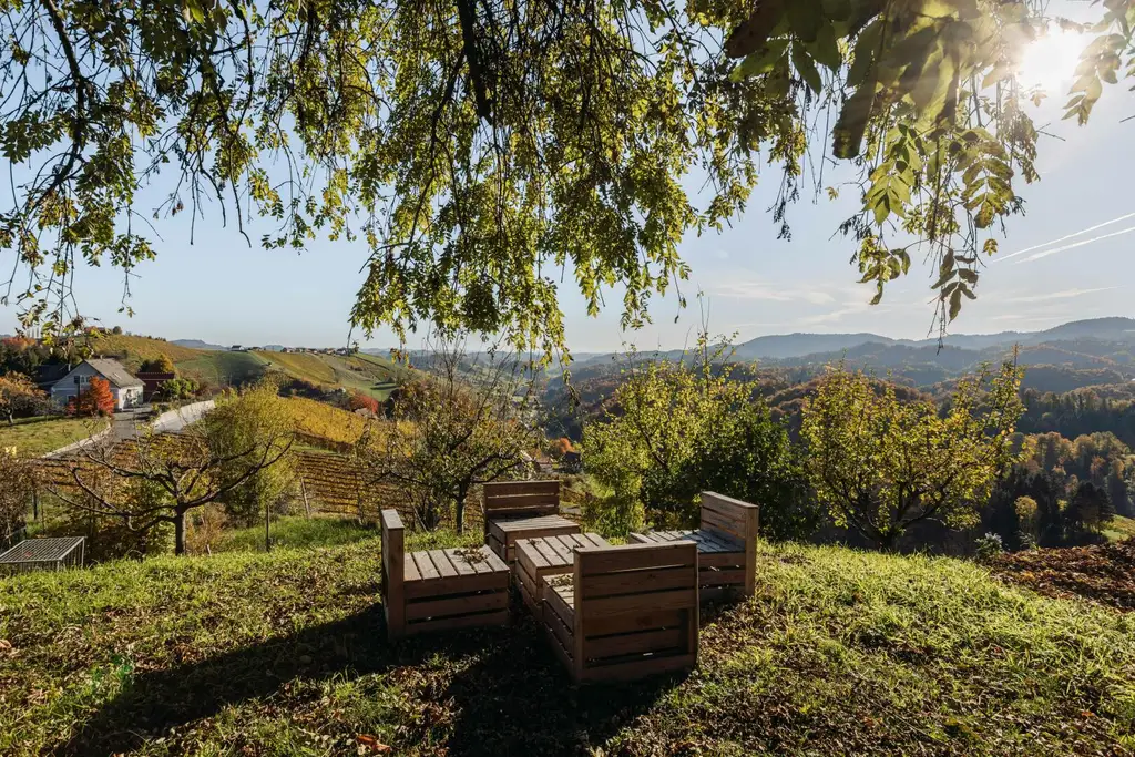 Buschenschank/Heuriger Eory zum Traubenkogel zu verkaufen!