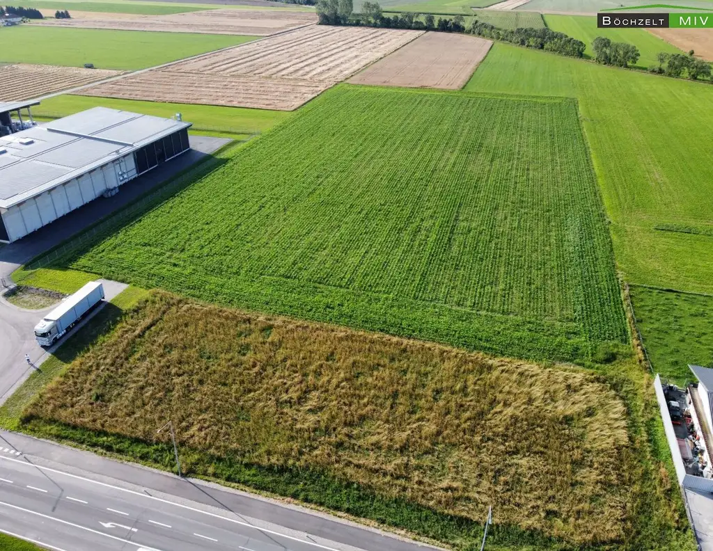 BAURECHT: Gewerbegrundstück mit knapp 32.000 m² in optimaler Verkehrslage +++ Spielberg +++