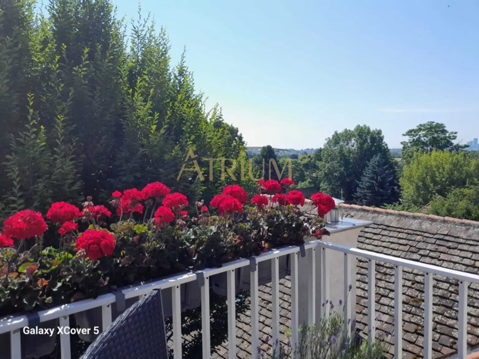 Charmante Maisonette-Wohnung mit Südterrasse, Weitblick über Wien