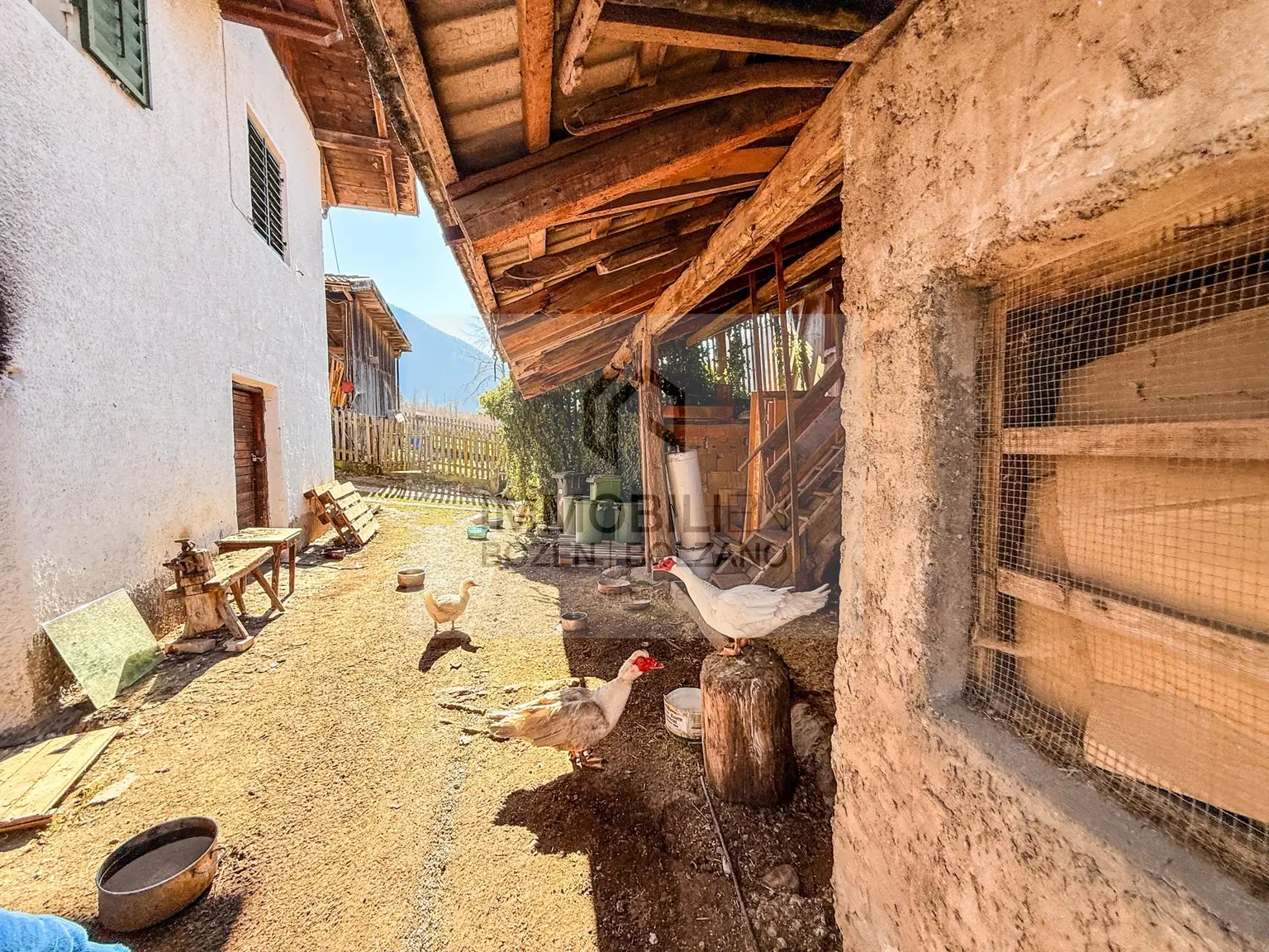 Bauernhof in sonniger Panoramalage – ein Juwel mit Potenzial