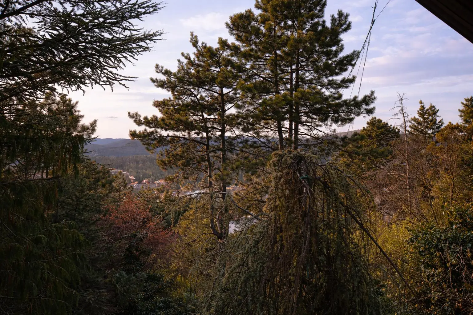Abendstimmung "Natur"