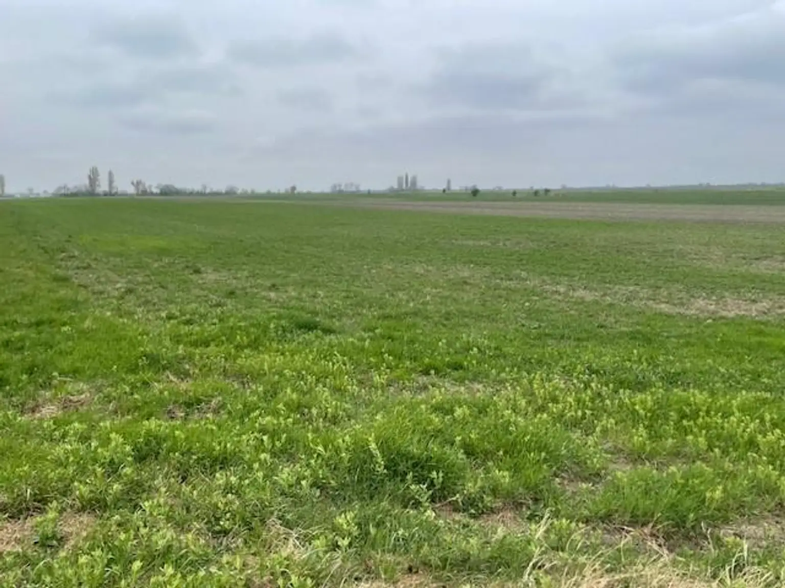 Landwirtschaftliches Grundstück Podersdorf