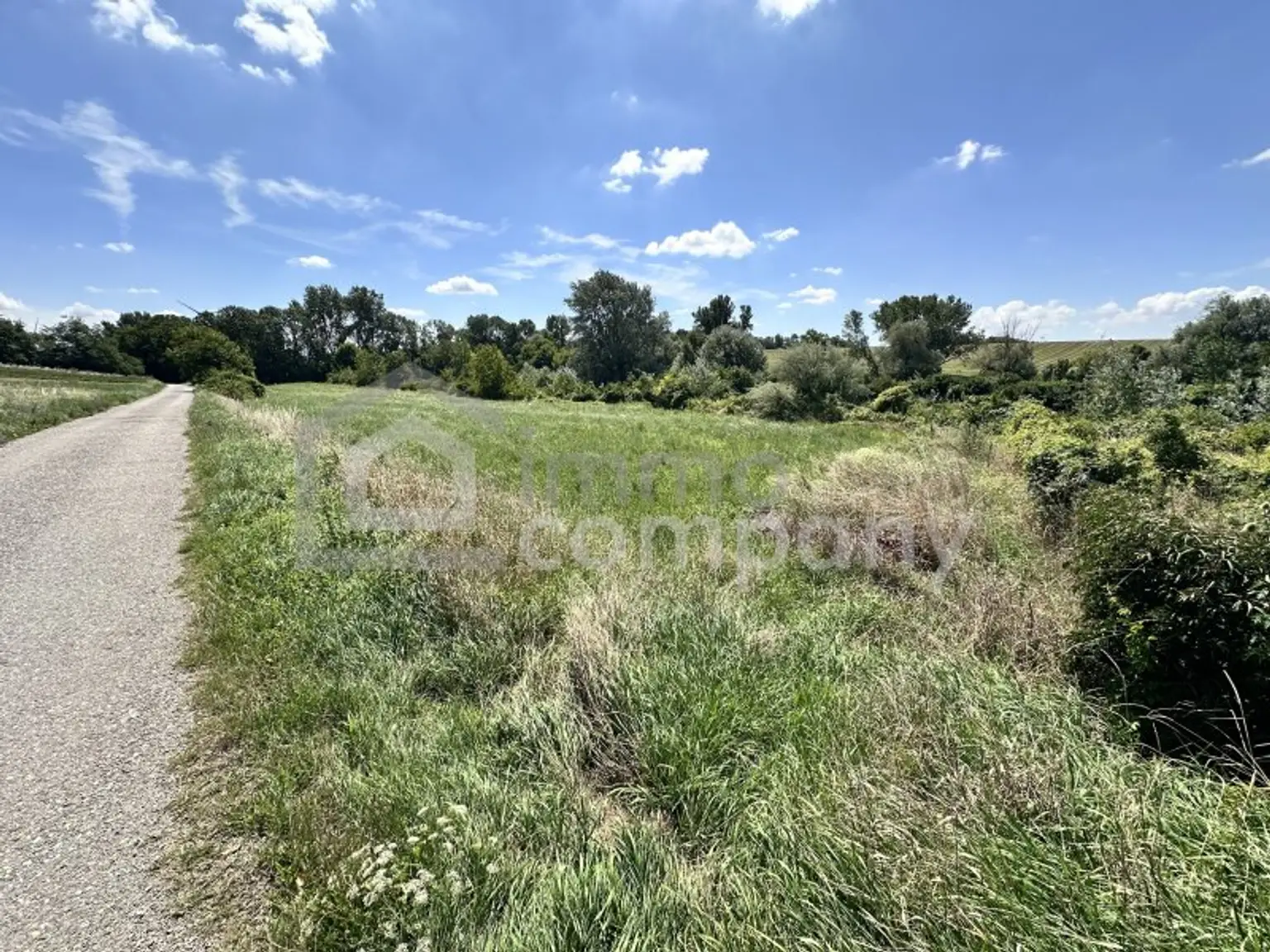 Traumhaftes Grünland Grundstück mit Fischteich in Prellenkirchen 18064m2 – Ihr Platz für Visionen!