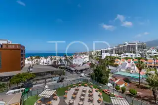 Studio-Las-Americas-xxx-Teneriffa-15
