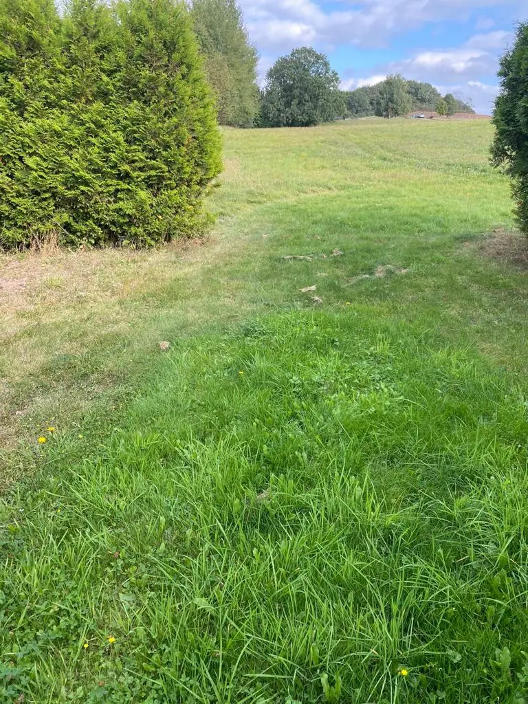 Enormes Entwicklungspotential...! 
Gärtnerei mit Verkaufspavillon, Gewächshäuser, 2-FH + Appartment