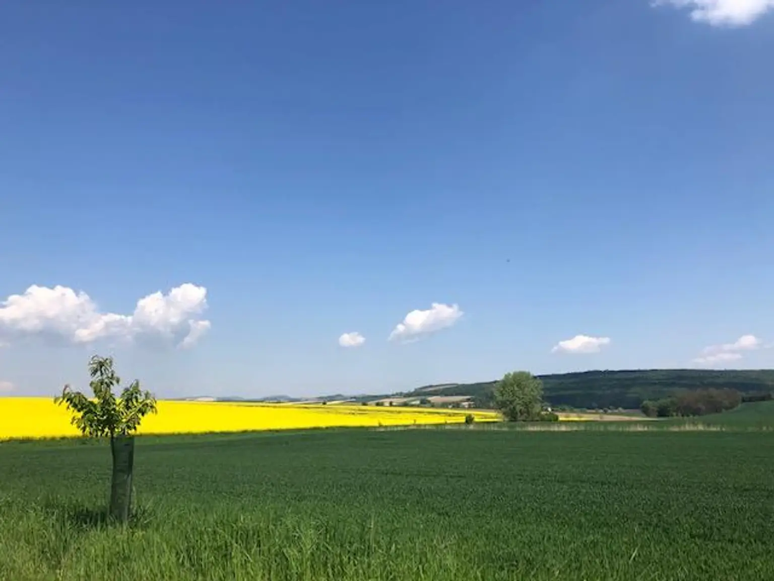Umgebung