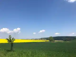 Umgebung