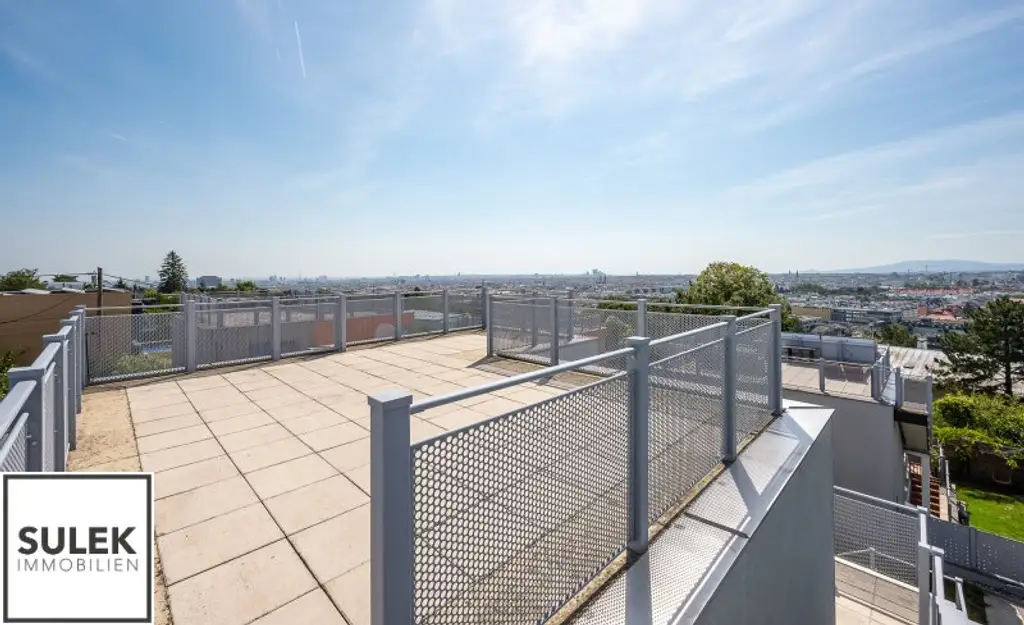 Einfamilienhaus in absoluter Traumlage am Schafberg // Dachterrasse mit Weitblick über die Stadt!