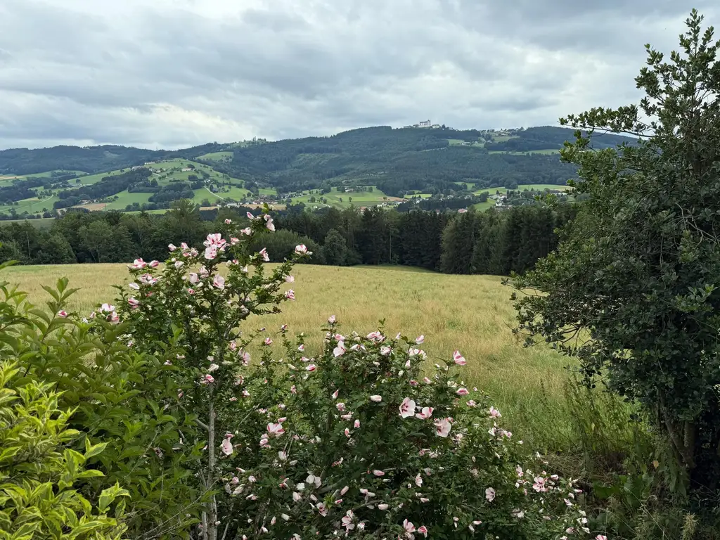 Traumhaftes Bauernhaus in Alleinlage mit Blick auf den Sonntagberg – 13 Hektar Natur pur im Ybbstal