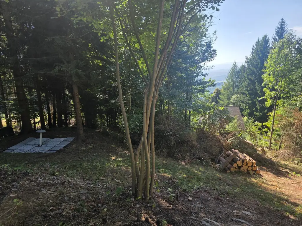 Aussichtslage, Ruhelage mitten im Stainzer Schilcherland!
