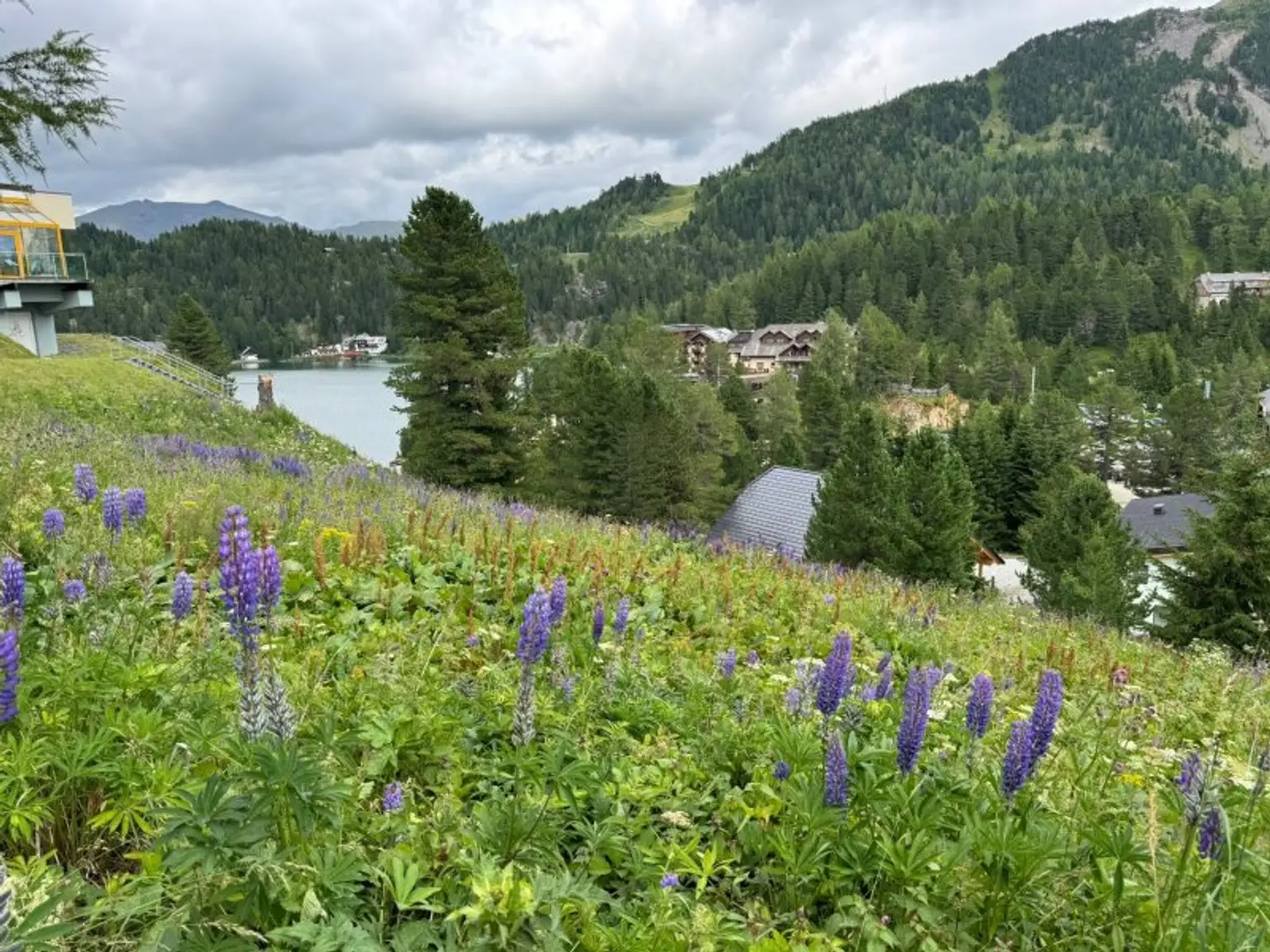 Turracher Höhe - Baugrundstück für eine kleine Apartmentanlage - DIREKT bei der Piste und der Talstation "Panoramabahn"