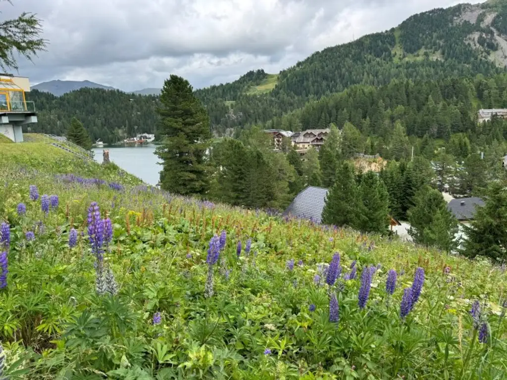 Turracher Höhe - Baugrundstück für eine kleine Apartmentanlage - DIREKT bei der Piste und der Talstation "Panoramabahn"