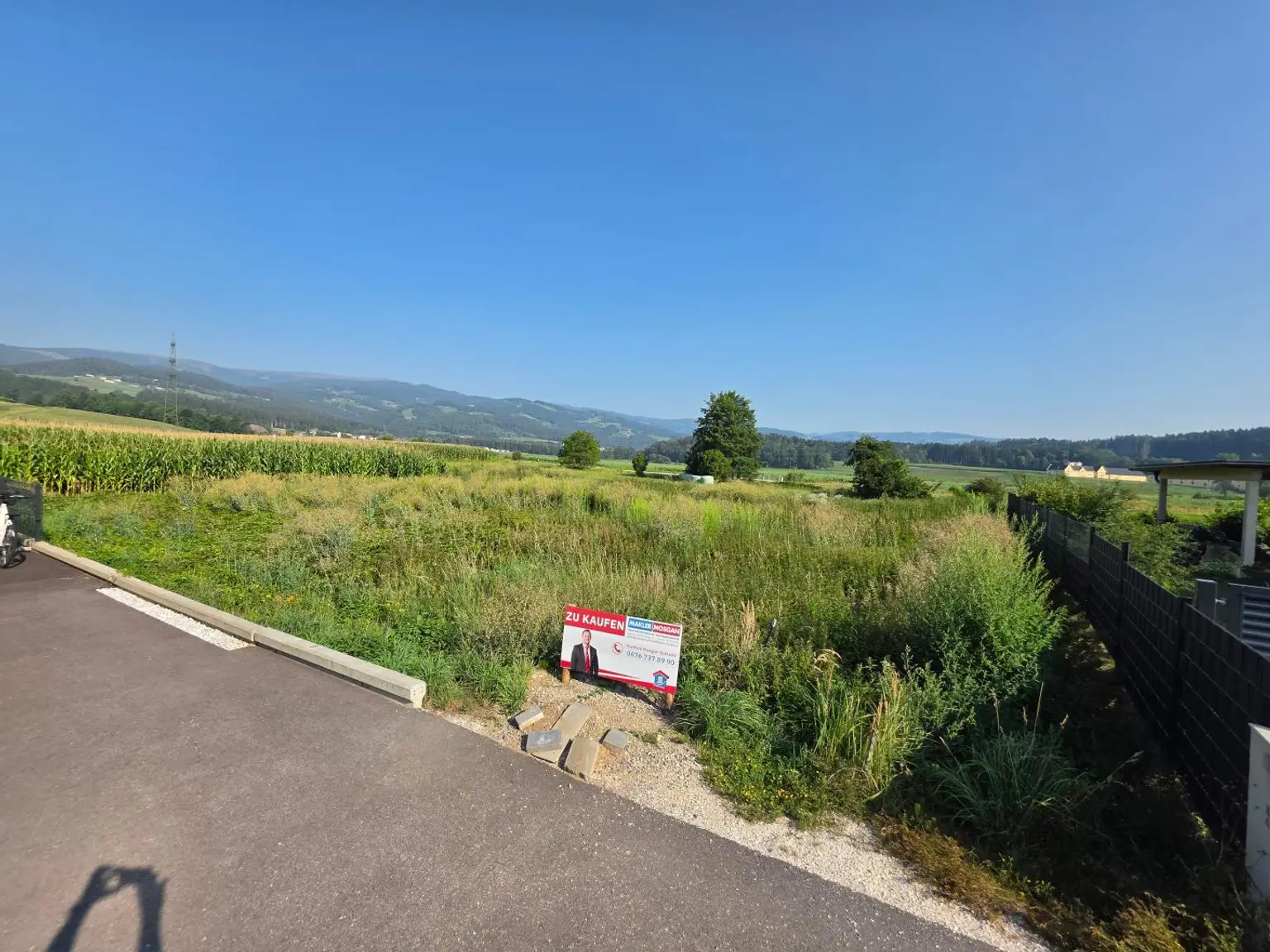 Blick auf Schloss Weißenau