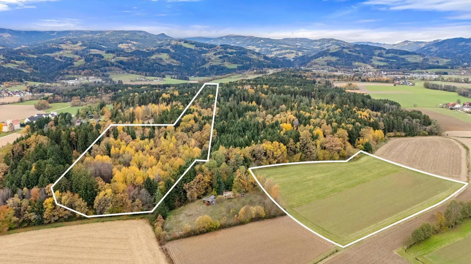 Waldflächen