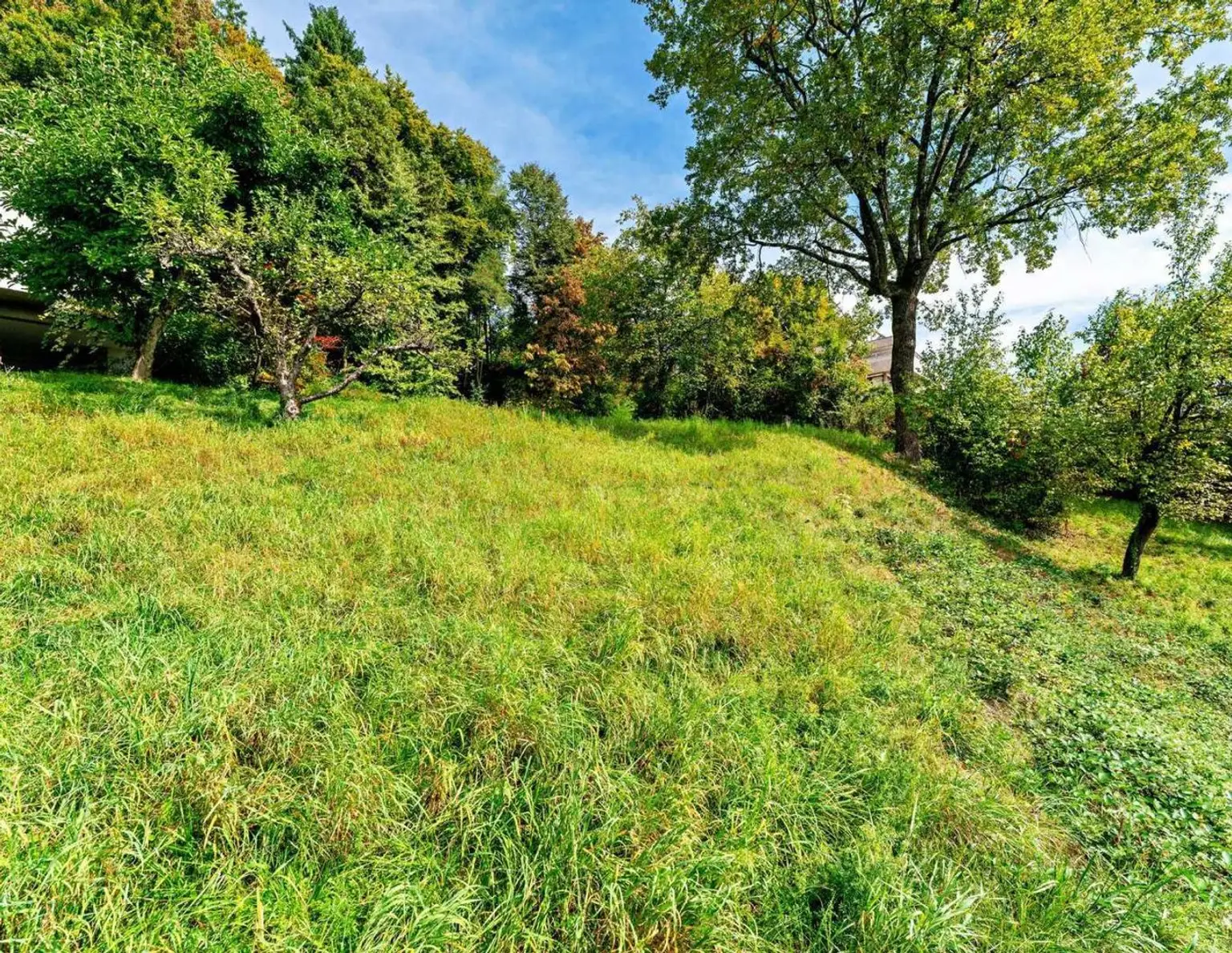 Sonniges Hanggrundstück mit Südausrichtung und Ausblick auf Berge und See