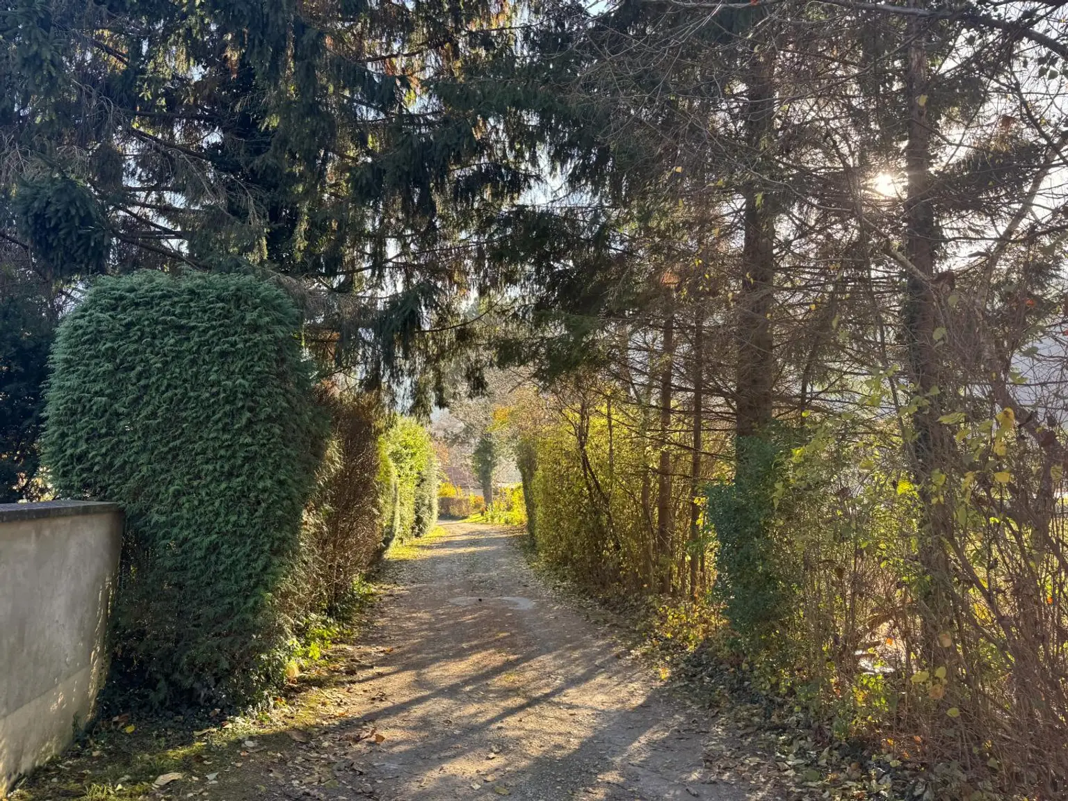 Sanierungsbedürftiges Mehrfamilienhaus mit großem Grundstück und hoher Bebauungsdichte