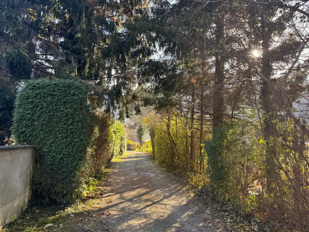 Sanierungsbedürftiges Mehrfamilienhaus mit großem Grundstück und hoher Bebauungsdichte