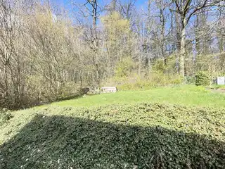 Blick aufs Grundstück (EG)