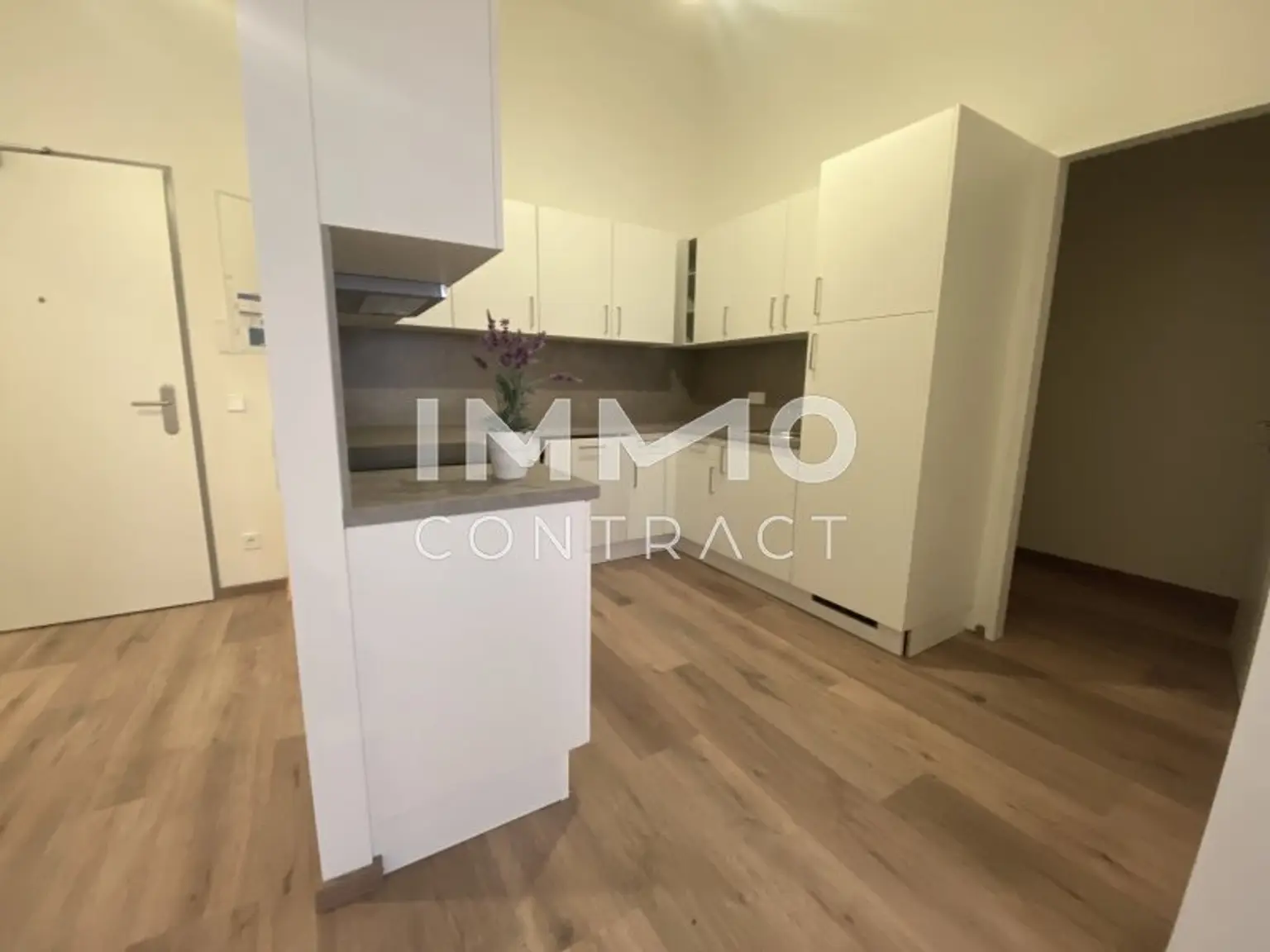 Küche komplett möbliert