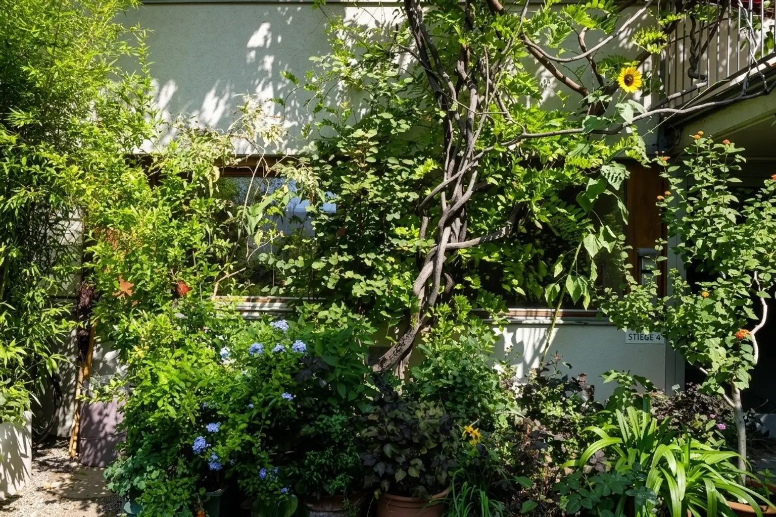 Historischer Altbau in Bestlage mit idyllischem Gemeinschaftsgarten