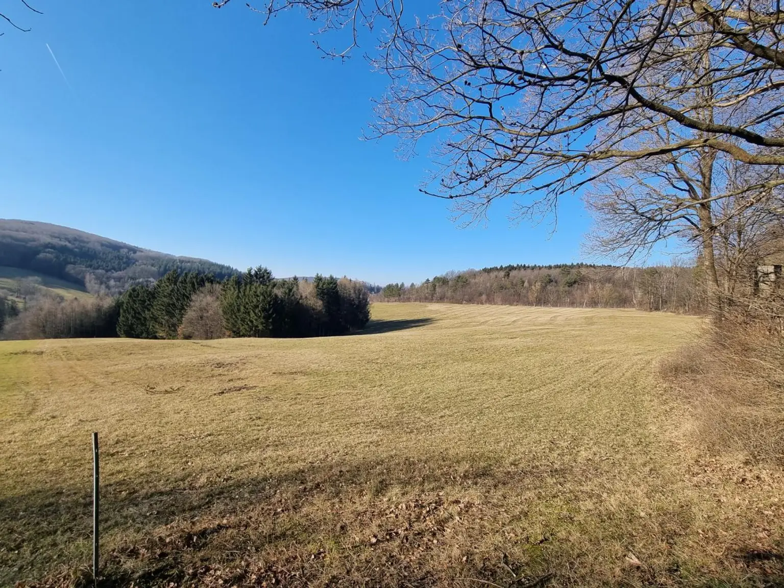 LANDWIRTSCHAFT VOR DEN TOREN WIENS