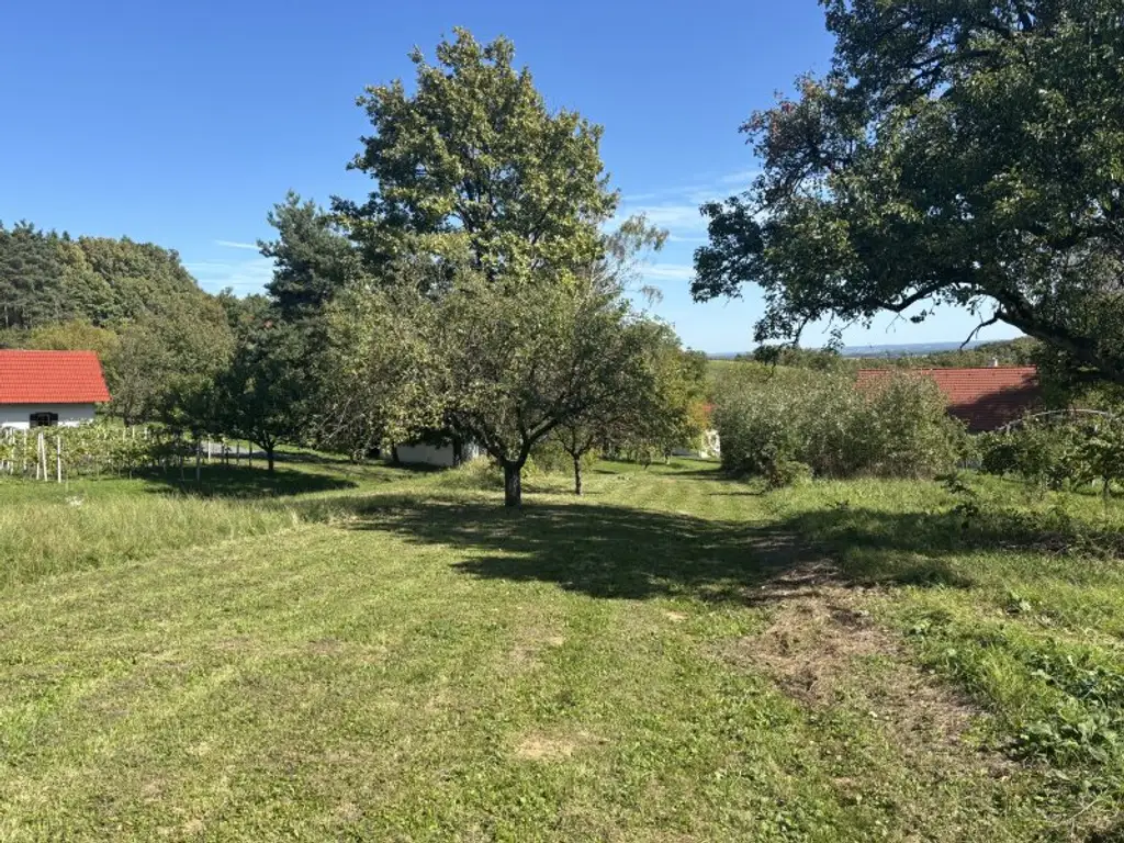 - DER SONNE ENTGEGEN - Kellerstöckl mit entzückendem Grundstück am Stremer Berg !!