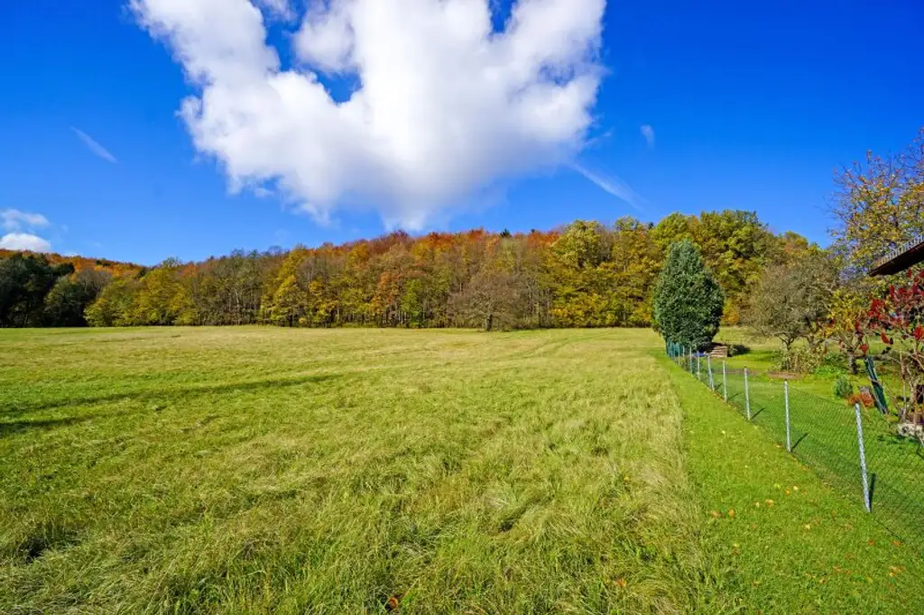 Großzügiges, naturnahes Grundstück in sonniger Ruhelage und mit herrlicher Aussicht