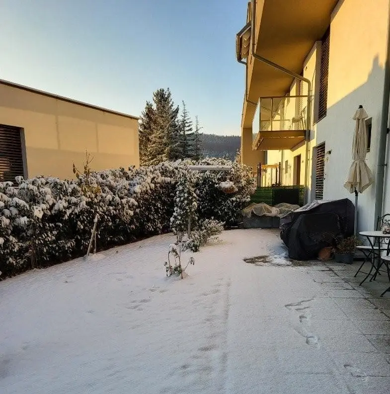 10 Schnee im Garten ETW 3004