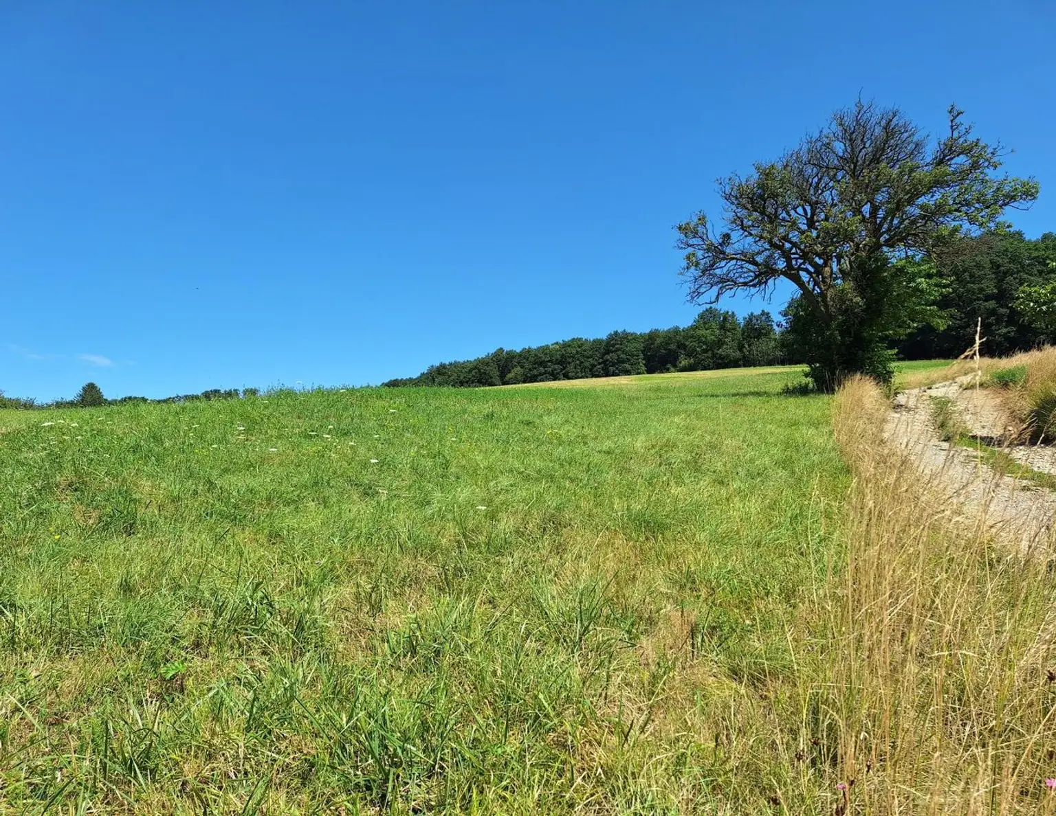 3,4 ha - aneinandergrenzende landwirtschaftliche Parzellen