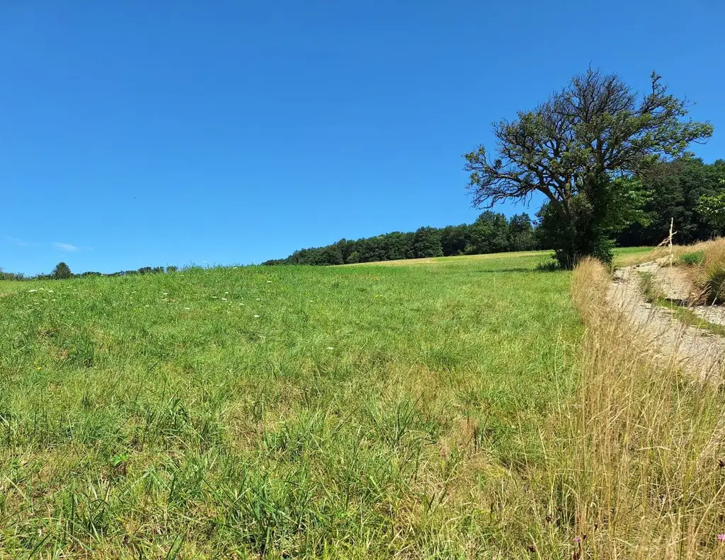 3,4 ha - aneinandergrenzende landwirtschaftliche Parzellen