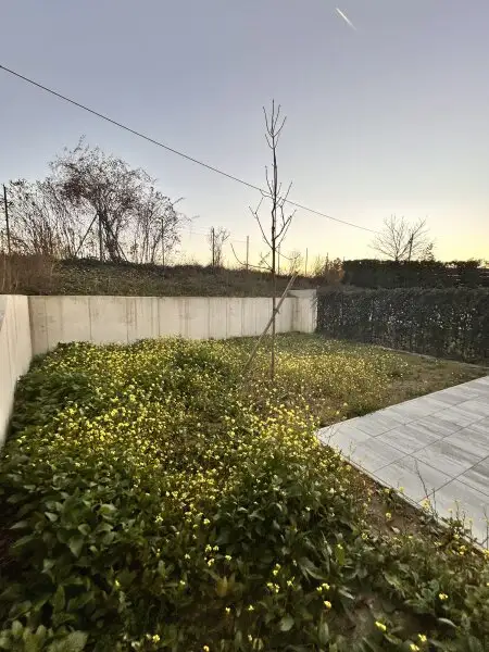 Alleineigentum ! Wohnen am See in einer Oase der Ruhe - mit 155 m2 Wohnfläche auf 2 Etagen zum Familienglück