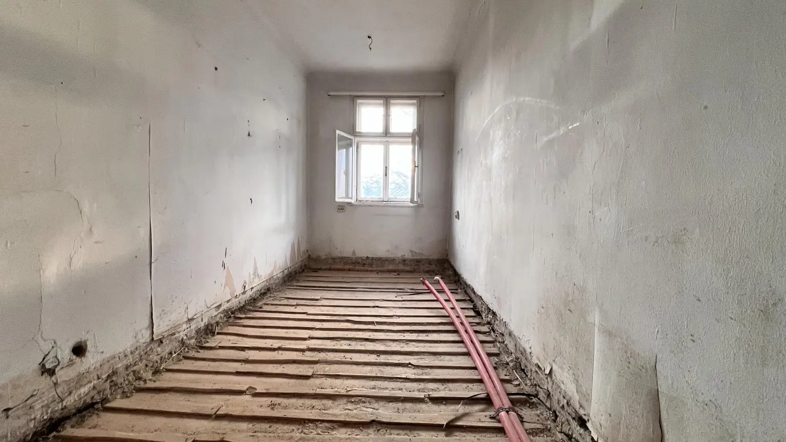 -20000434_1004159911_16344386