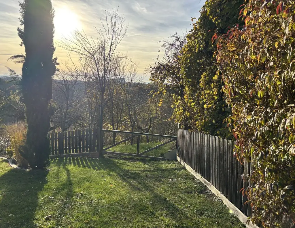 6.026m² Land und Forstwirtschaftliche Fläche in Ruppersdorf